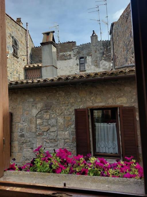 Casa Rosita Vista Lago Bolsena Exterior photo